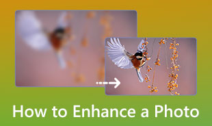 How to Enhance a Photo s