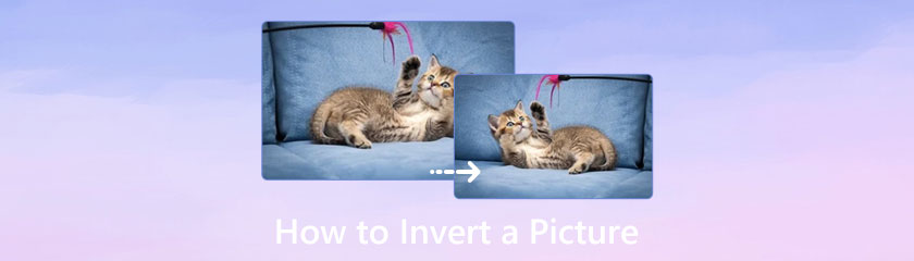 How to Invert a Picture