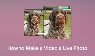 Hoe maak je van een video een live foto s