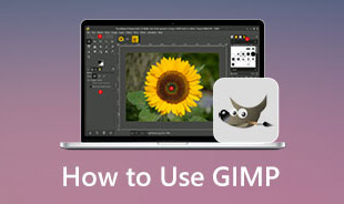 GIMP analisa alternativas s