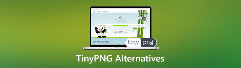 TinyPNG Alternatives