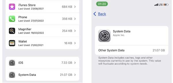 Systemdaten anzeigen iOS