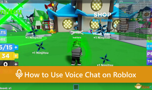 Sådan bruger du Voice Chat på Roblox s