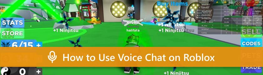 How to Use Voice Chat on Roblox