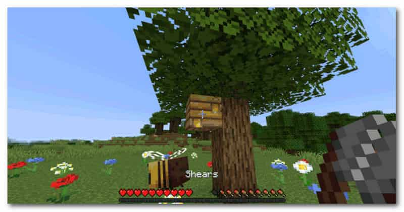 Minecraft Sử Dụng Kéo