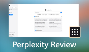 Perplexity Review