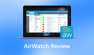 AirWatch 评论