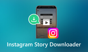 Instagram Story Downloader