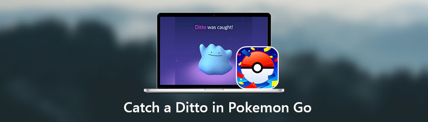 Vang een Ditto in Pokemon Go
