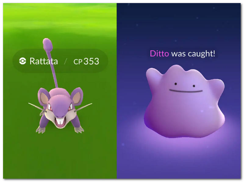 Catch Ditto ručno