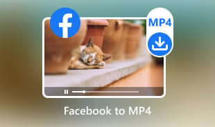 Facebook til MP4
