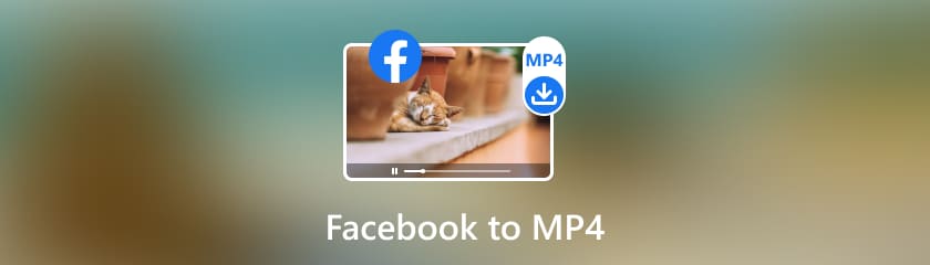 Facebook'tan MP4'e