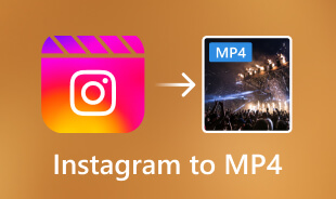 Instagram till MP4