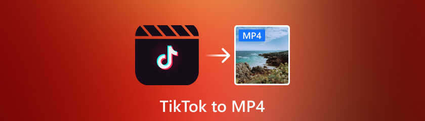 TikTokをMP4に変換