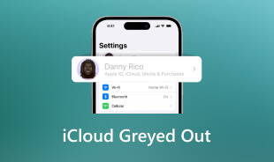 iCloud Greyed Out