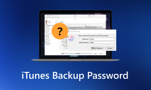 iTunes Backup Password
