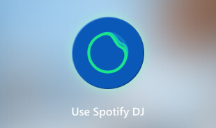 Bruk Spotify DJ