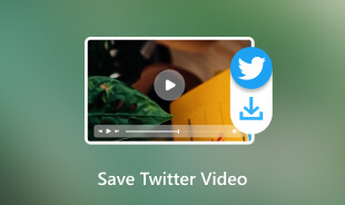 Save Twitter Video