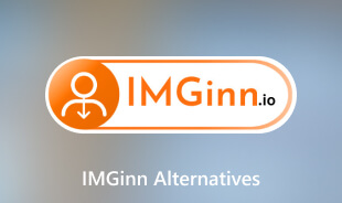 IMGinn-alternativer