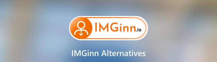 IMGinn Alternatives