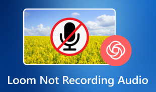 Loom Not Recording Audio