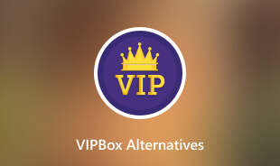 Các lựa chọn thay thế VIPBox