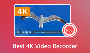 Melhor gravador de vídeo 4K