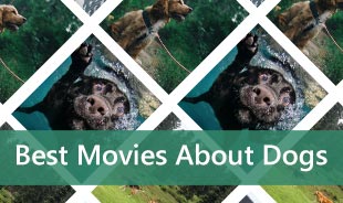 Las mejores películas sobre perros
