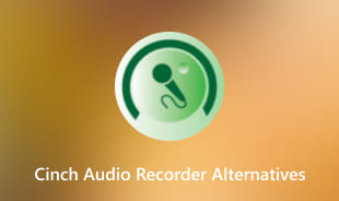 Alternatieven voor cinch-audiorecorders