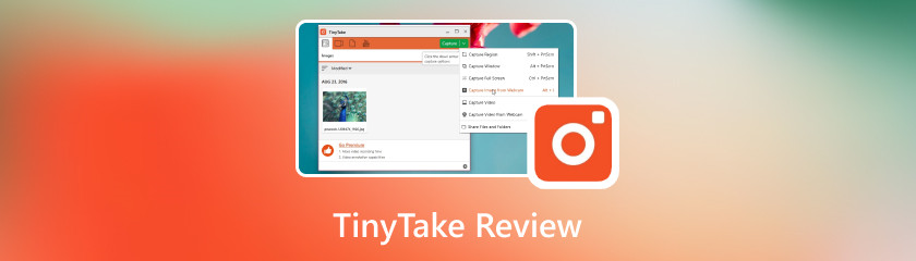TinyTake recension