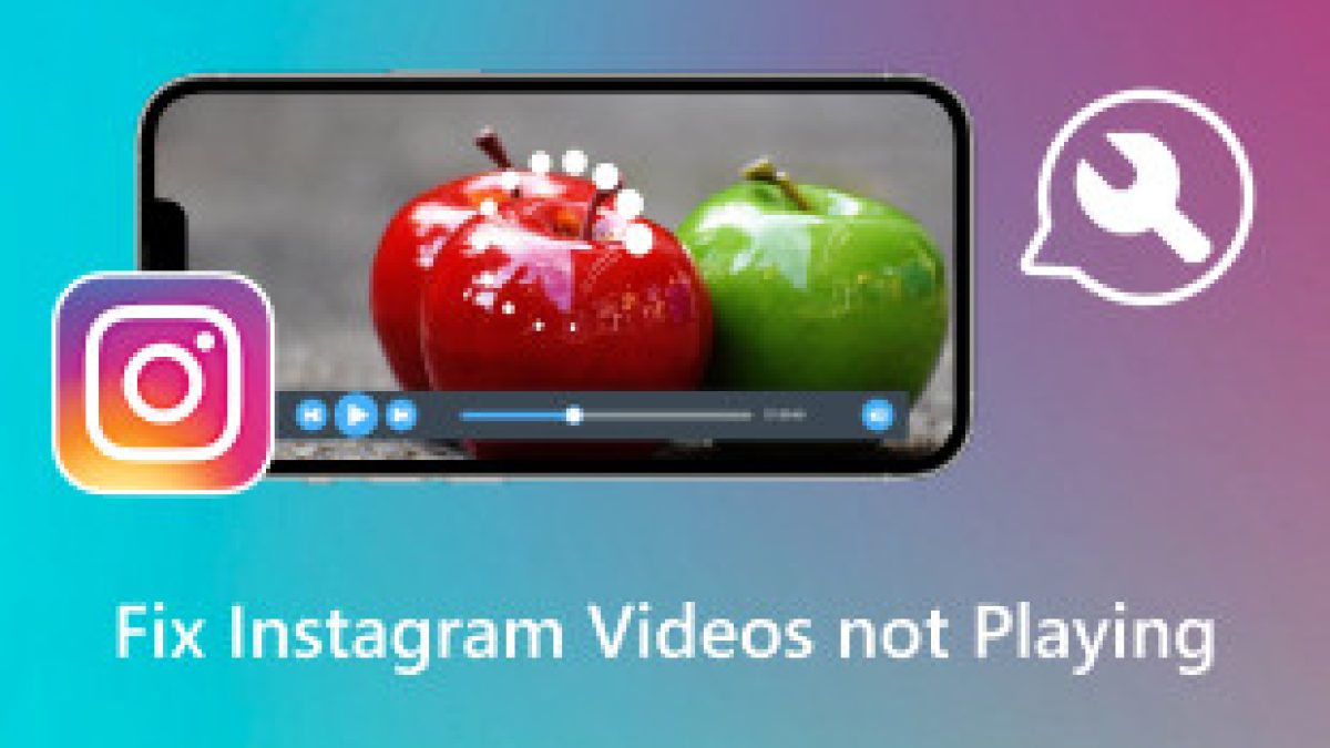Instagram 视频无法播放？修复视频和Reels 的6 种方法