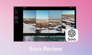 Sora Review