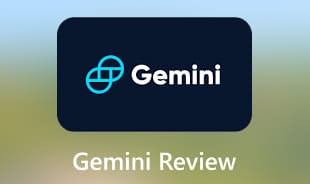 Gemini Review