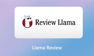 Recenze lamy