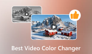 Best Video Color Changer