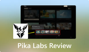 Recenze Pika Labs