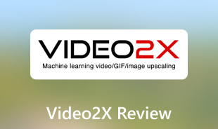 Recenze Video2X