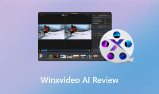 Winxvideo AI Review